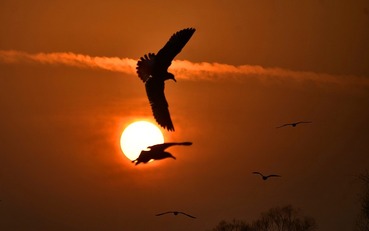 今日冬至   黄河精彩