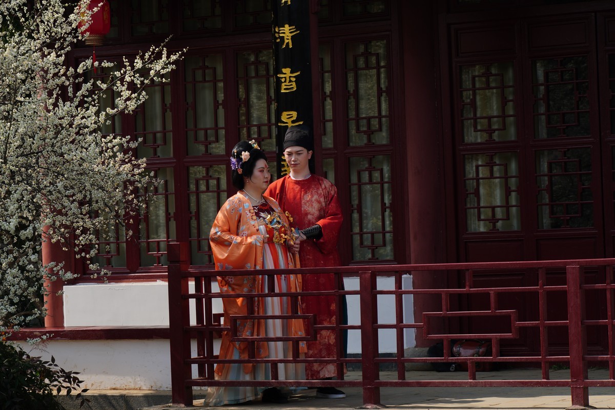 东湖梅园环境人像小品