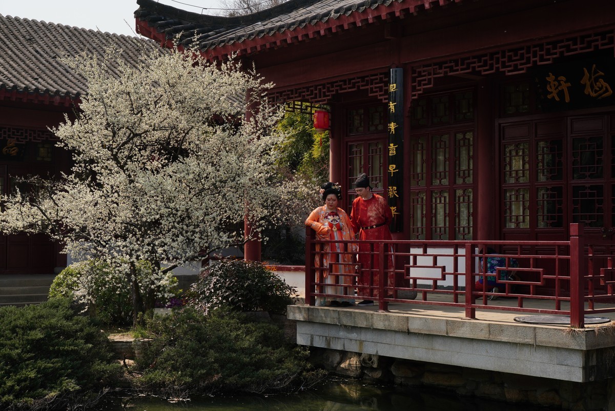 东湖梅园环境人像小品