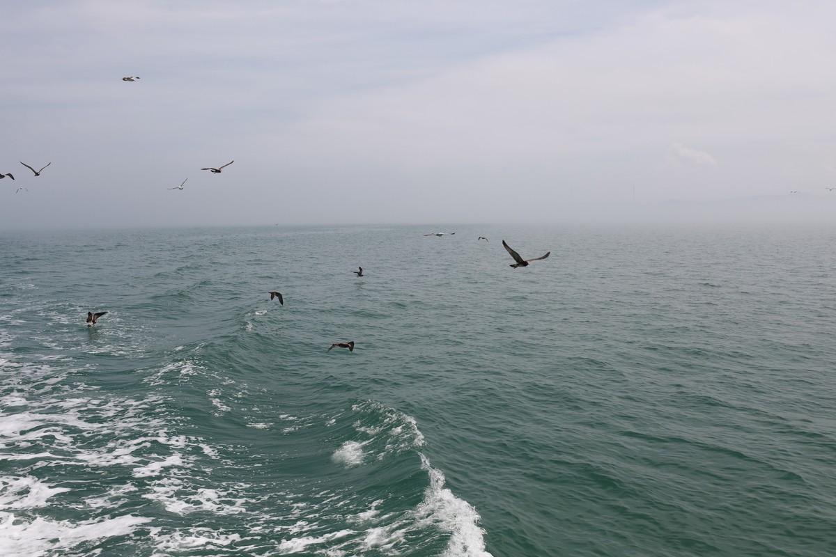 海上起雾了，站在船头的人拍海