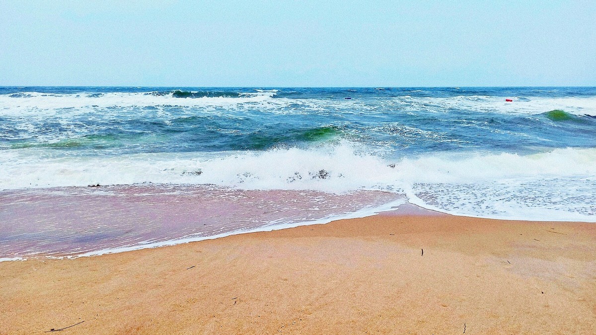 那香海 / 2020