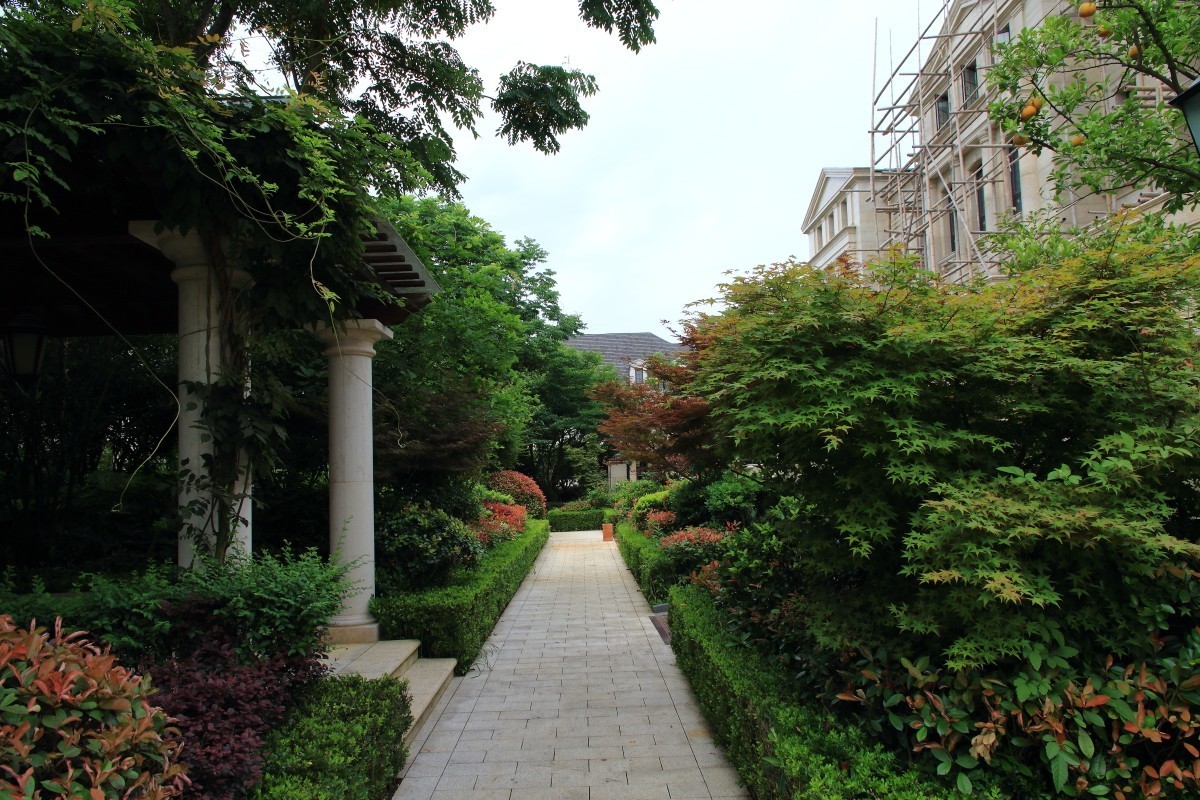 8年前的机器不拍视屏一点也没落伍～