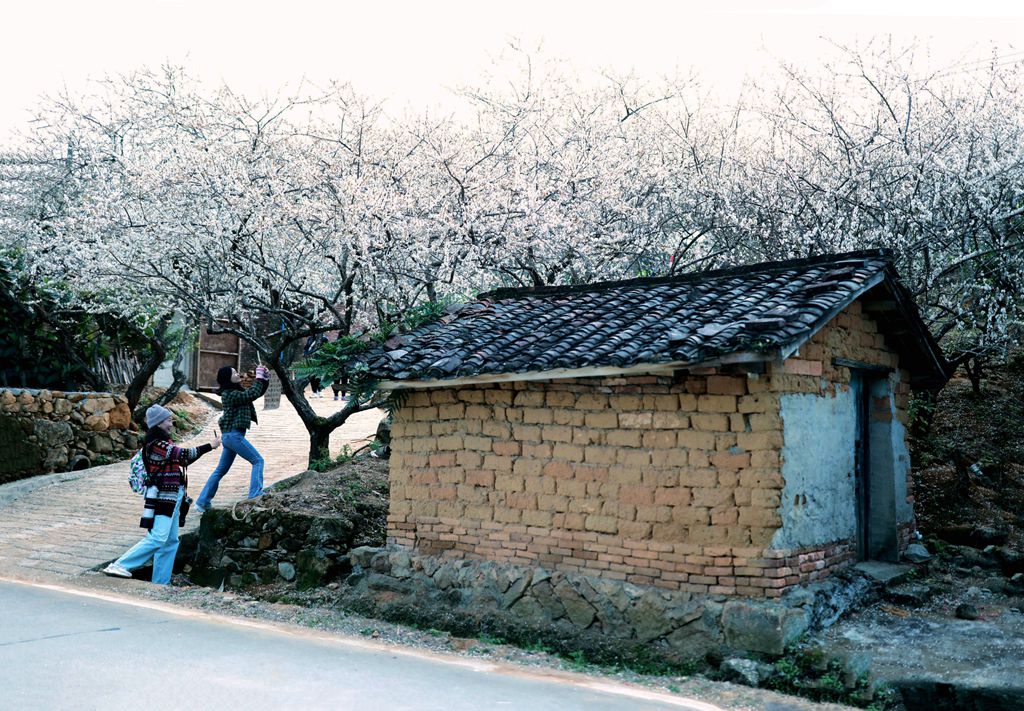 流溪香雪