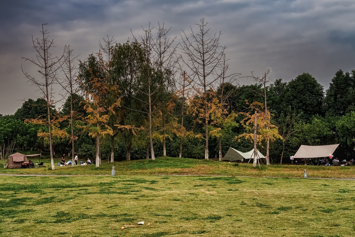 成都·清水河湿地·石阵