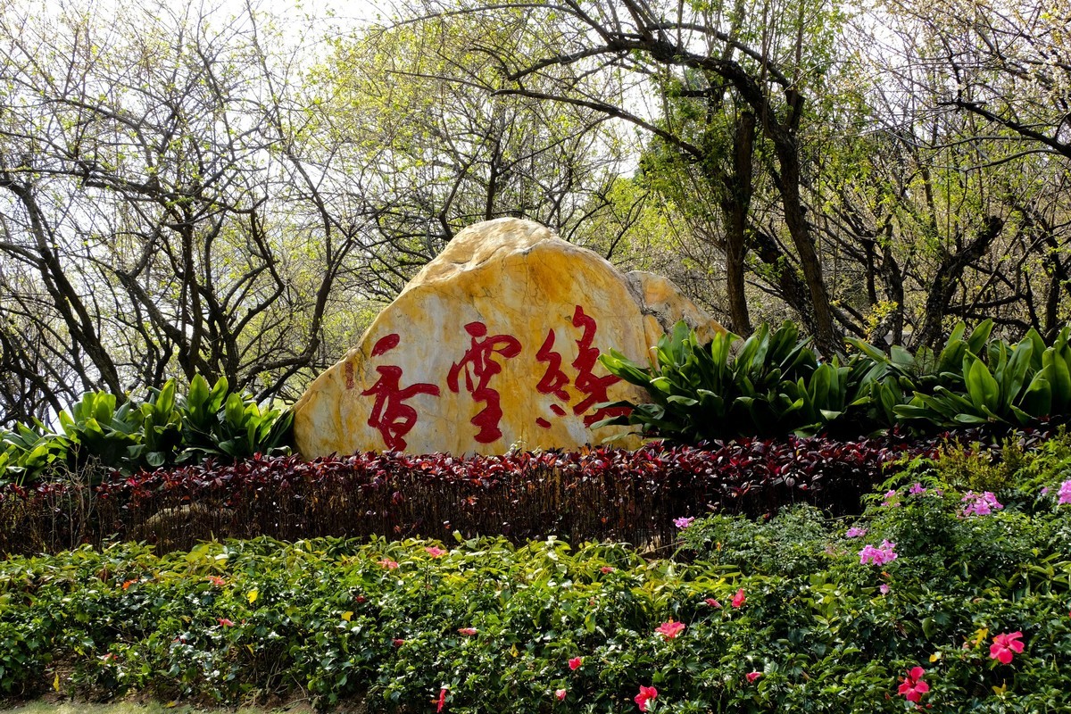 罗岗公园随拍（二）