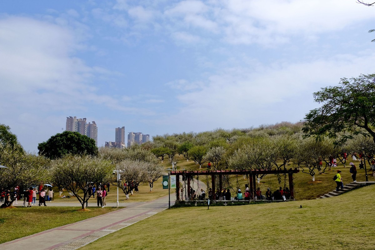 罗岗公园随拍（二）