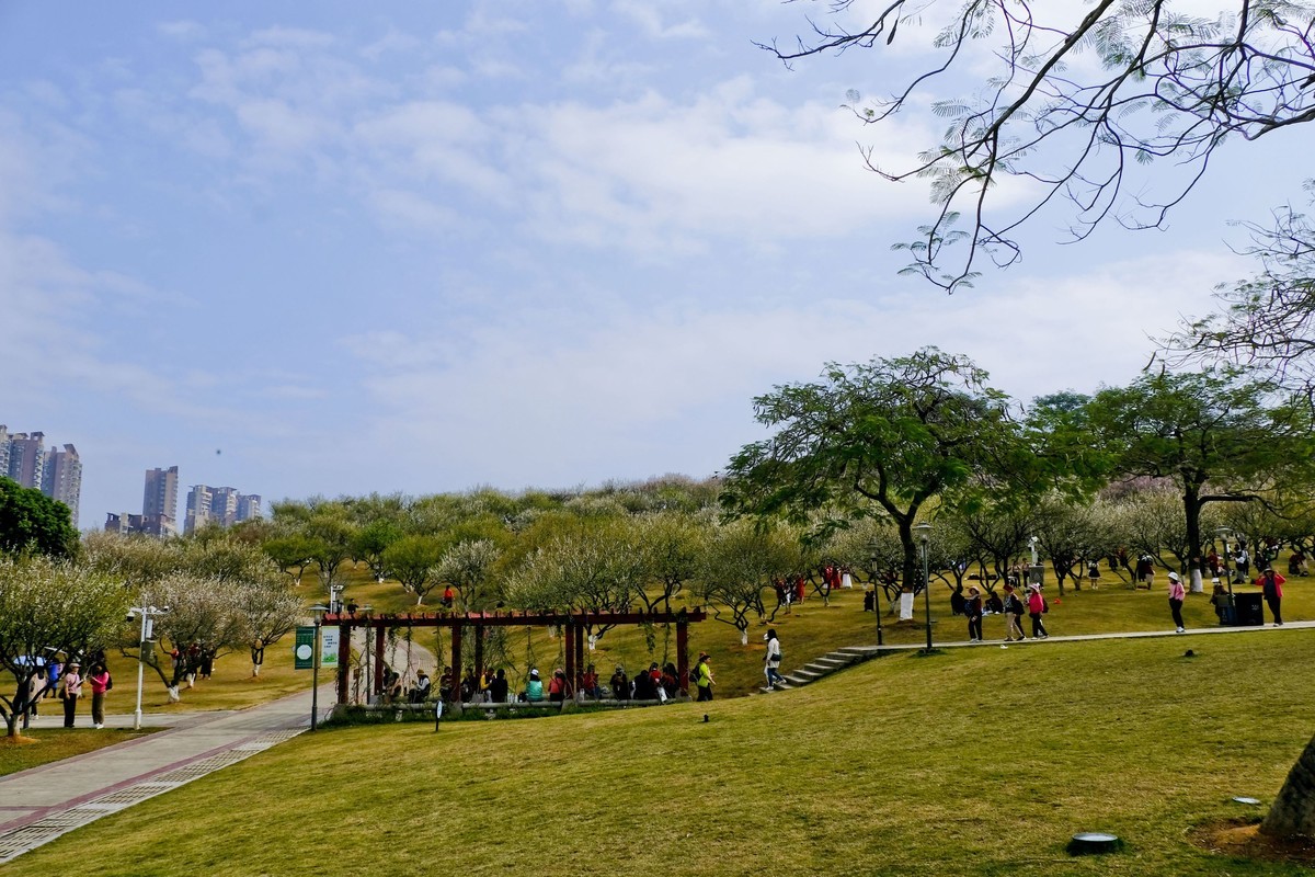 罗岗公园随拍（二）