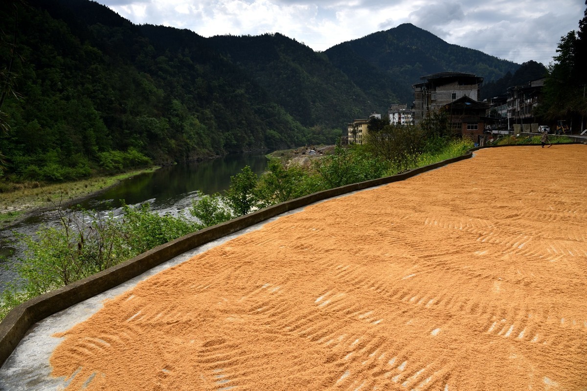 贵州三都至从江路途随拍【5】