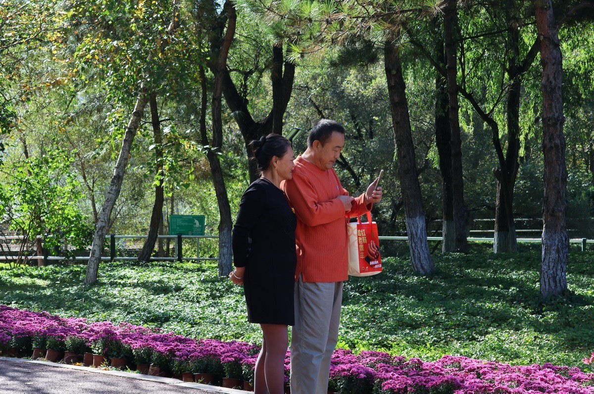 假日遊园 . 黛秀    1