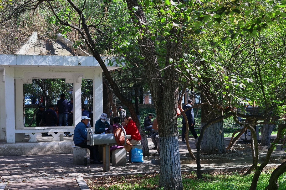 假日遊园 . 黛秀    1