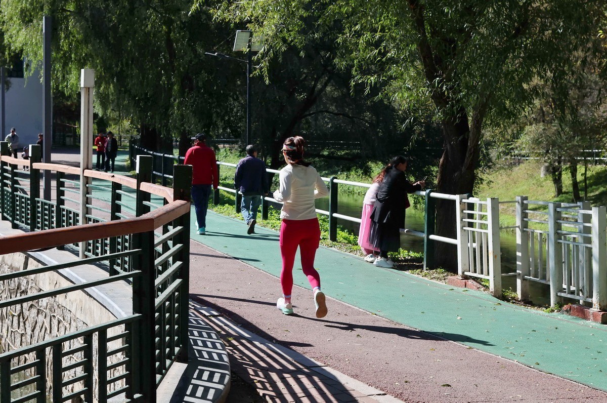 假日遊园 . 黛秀    1