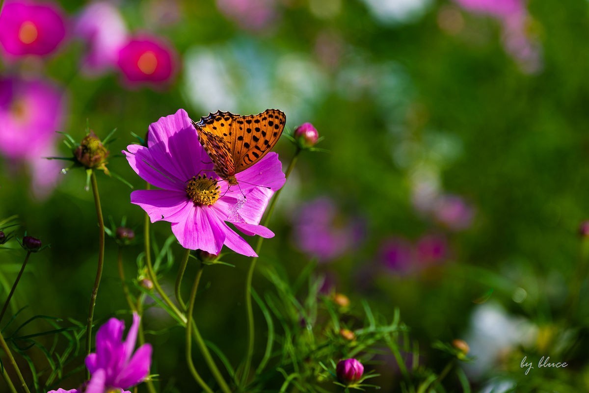 世博文化园随拍