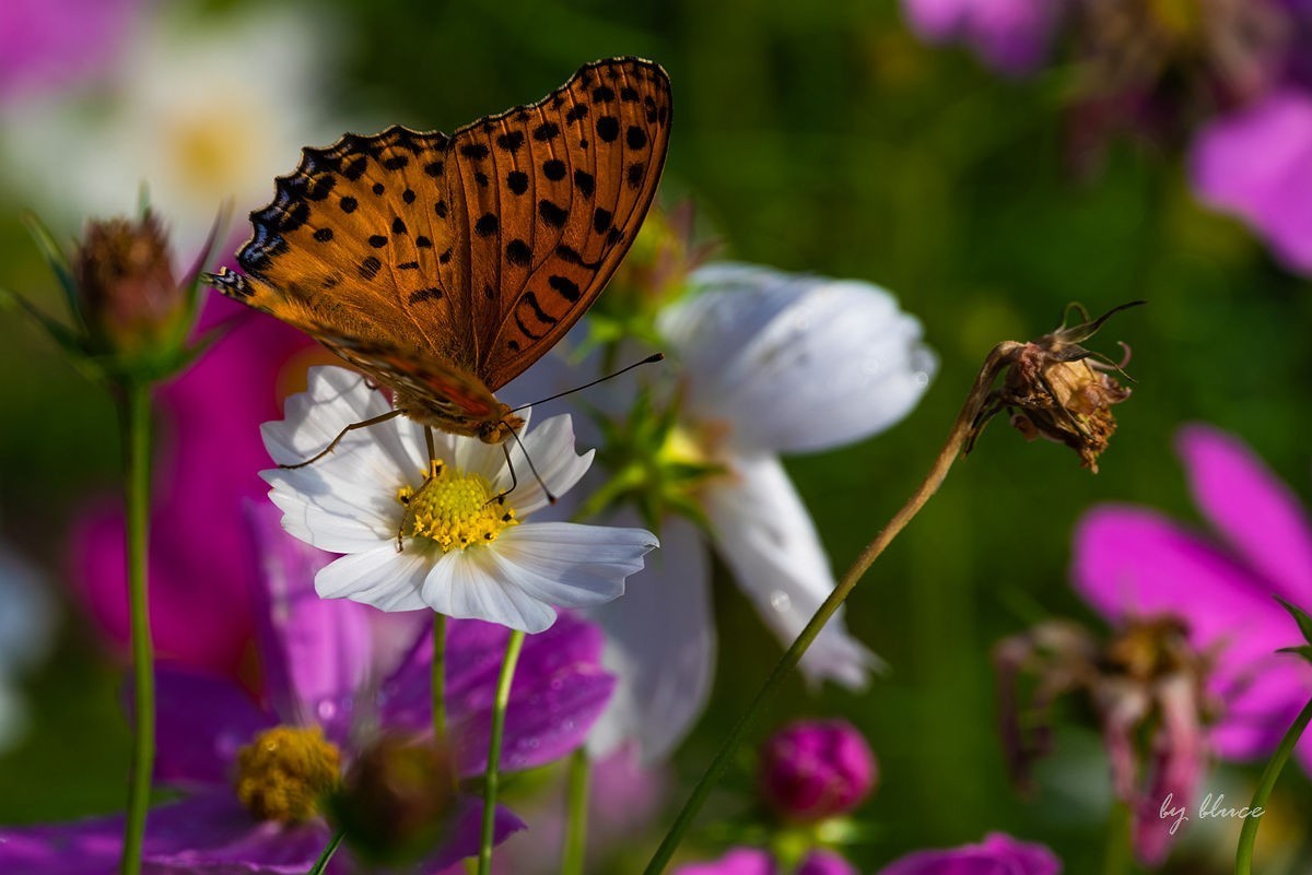 世博文化园随拍