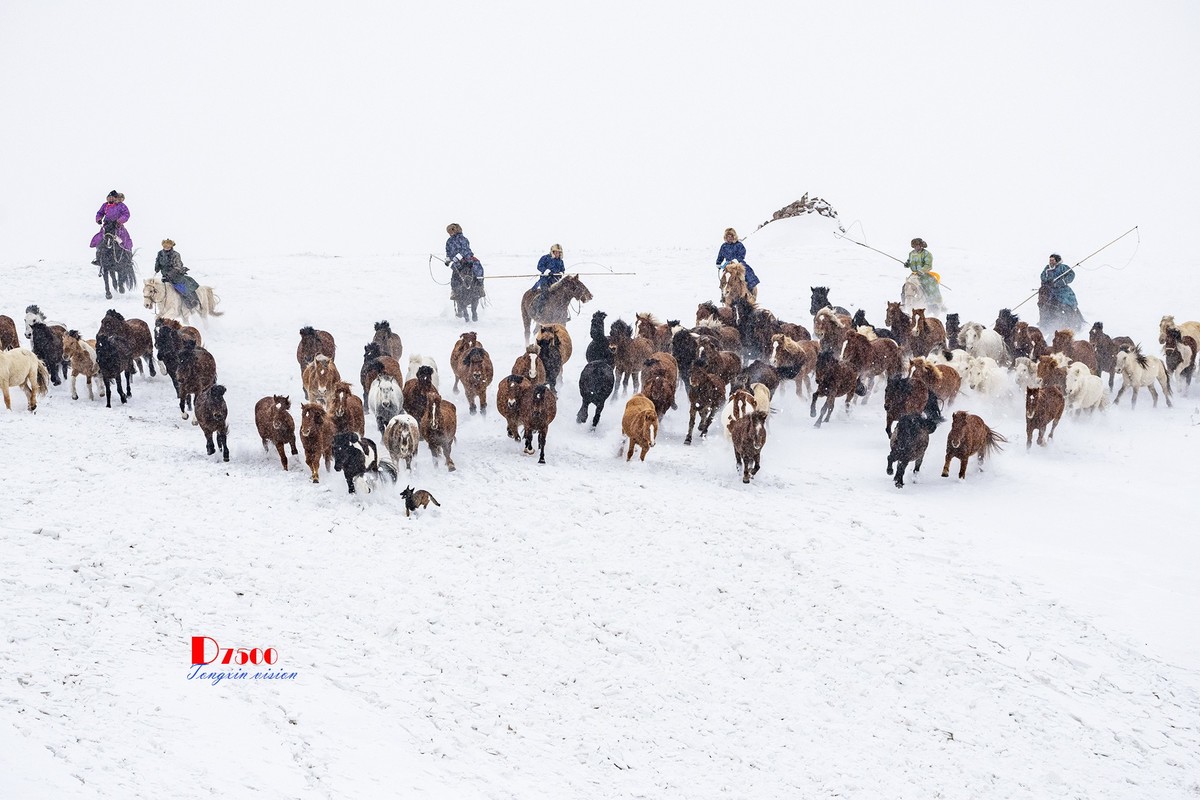 策马奔腾（33）