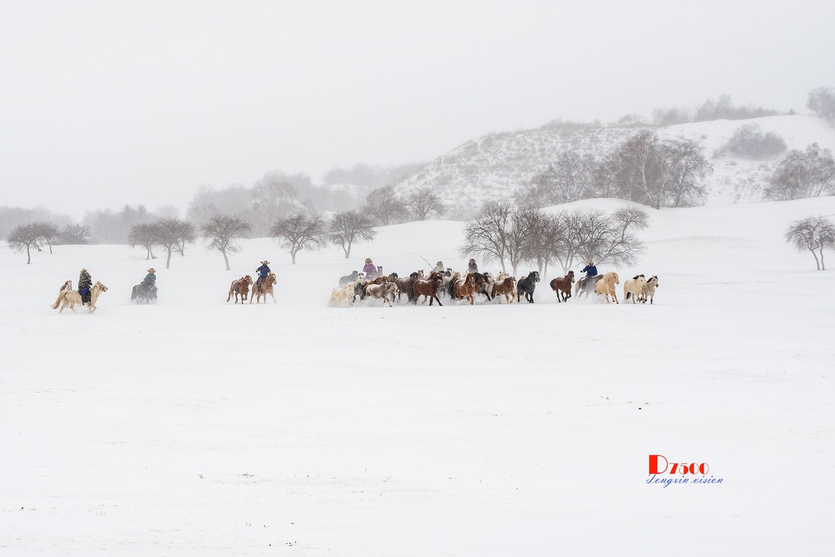 策马奔腾（33）