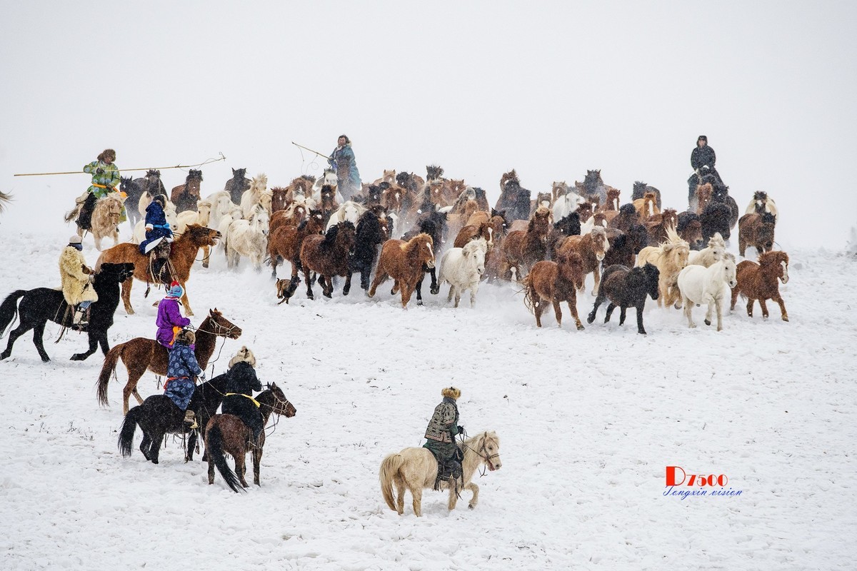 策马奔腾（33）