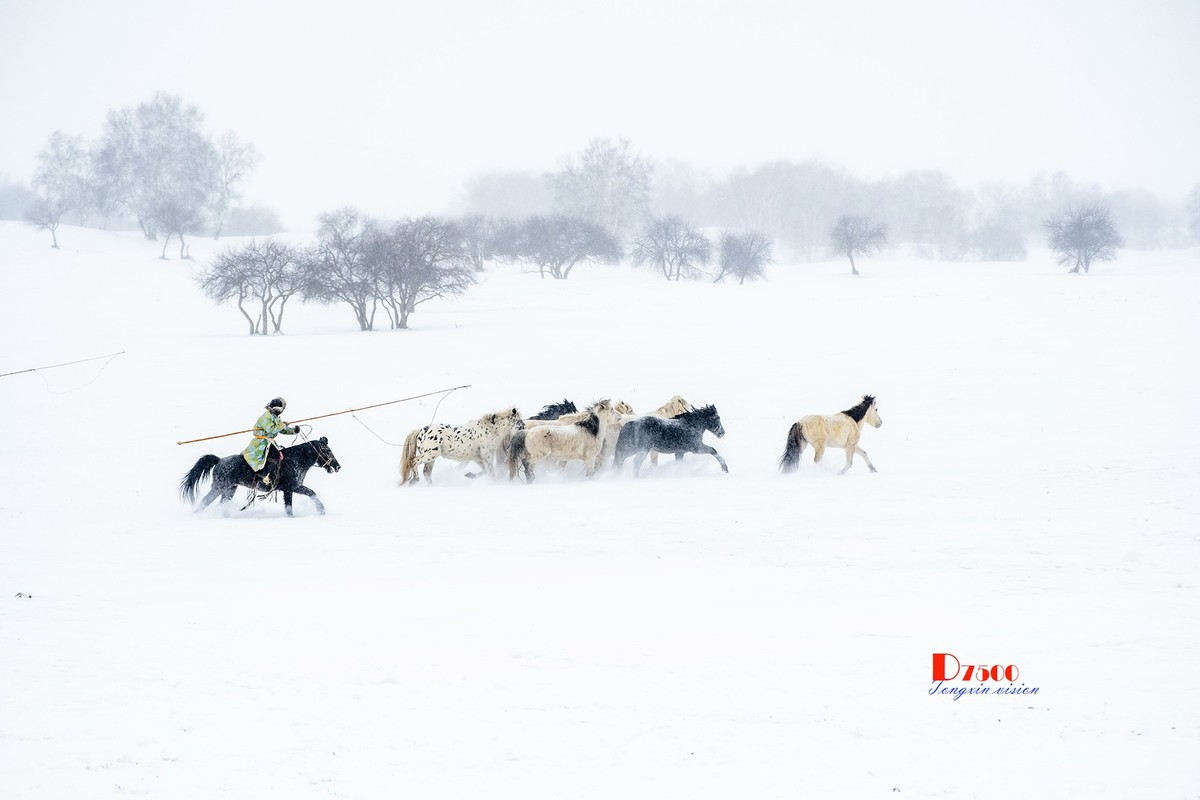 策马奔腾（33）