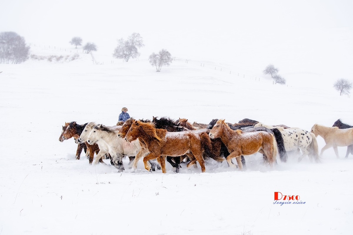 策马奔腾（33）