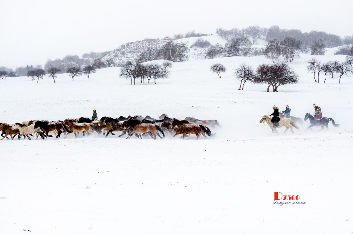 策马奔腾（33）