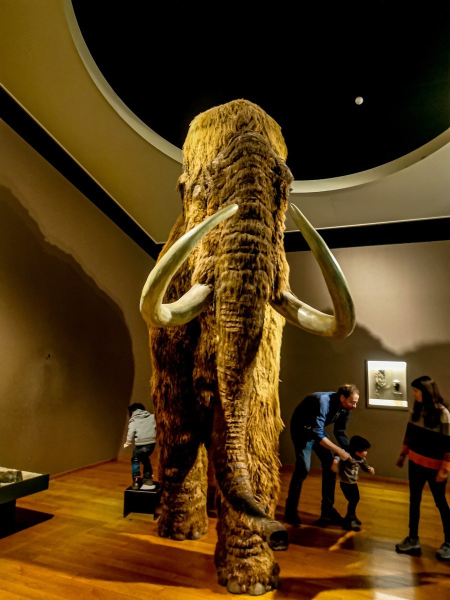 “自然博物馆”（瑞士巴塞尔）