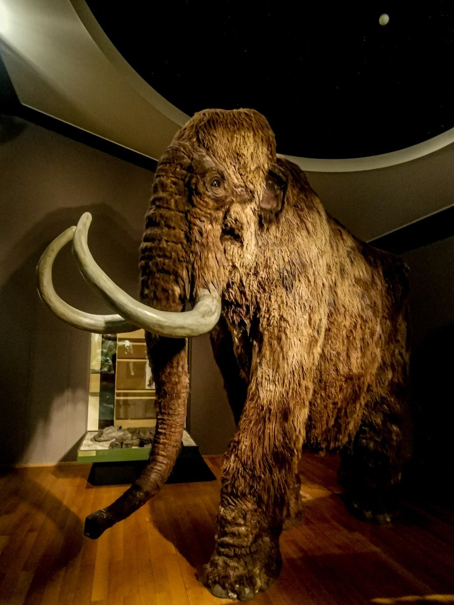 “自然博物馆”（瑞士巴塞尔）