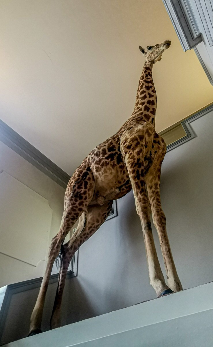 “自然博物馆”（瑞士巴塞尔）