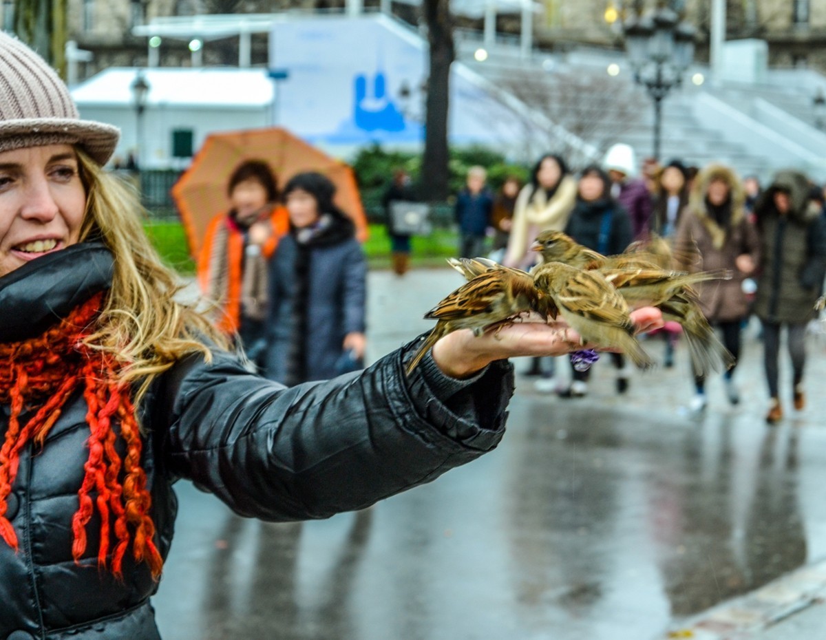 回味“巴黎圣母院”大教堂