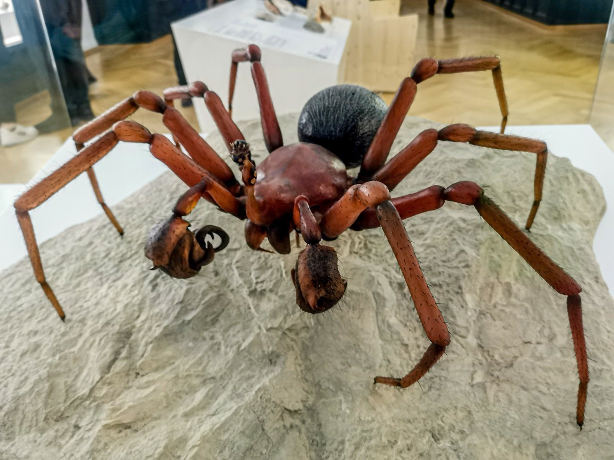 “自然博物馆”（瑞士巴塞尔）