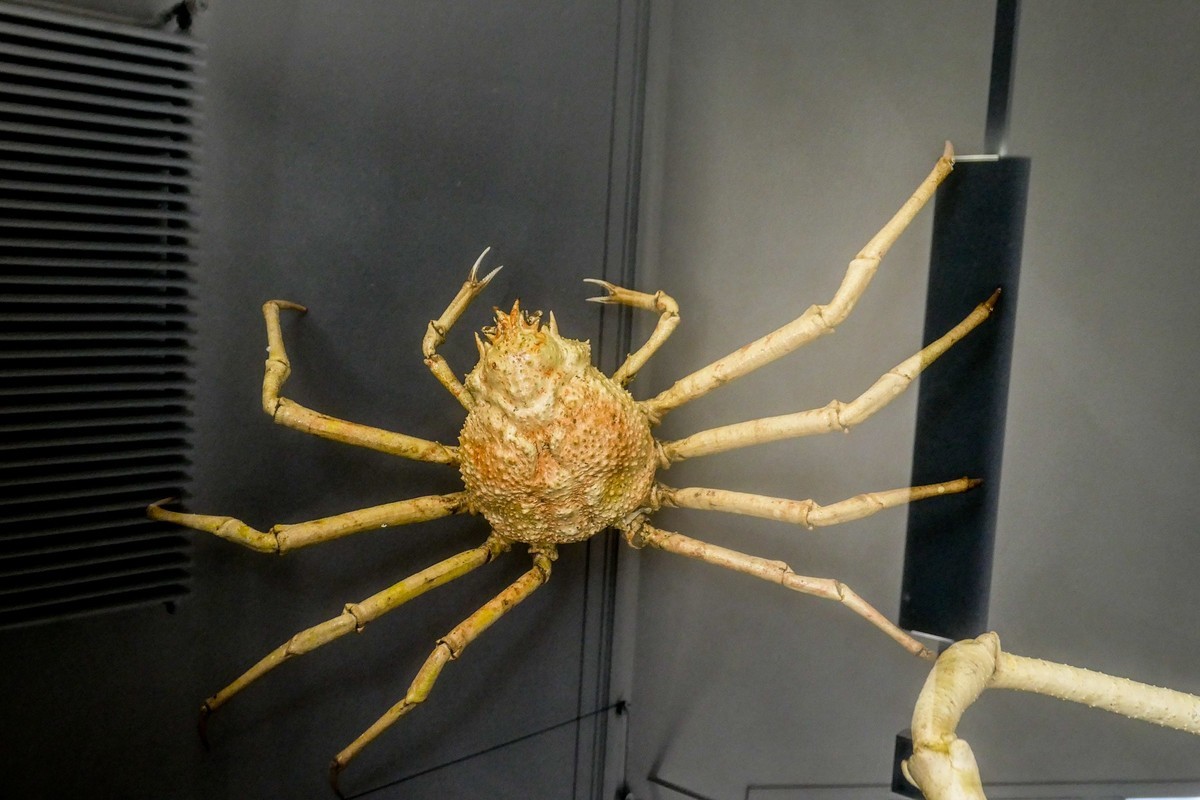 “自然博物馆”（瑞士巴塞尔）