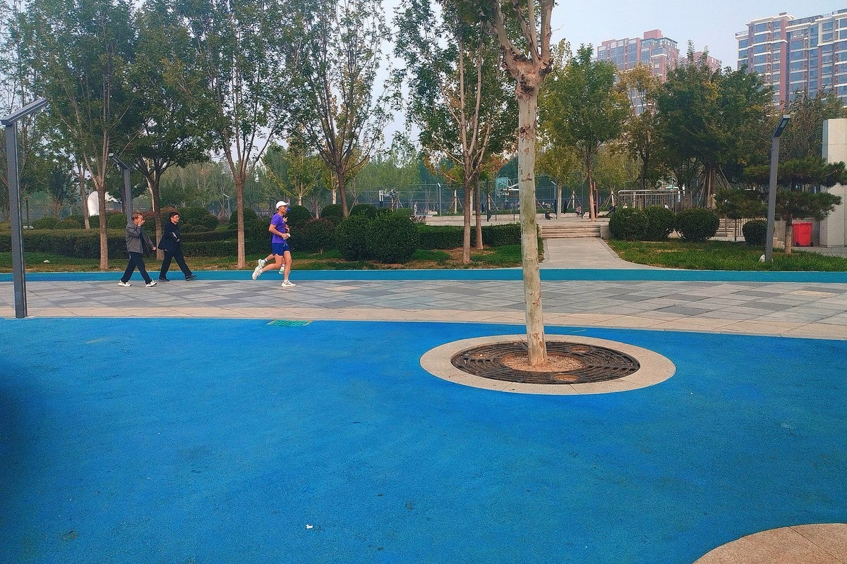 秋日·拾光智慧体育公园