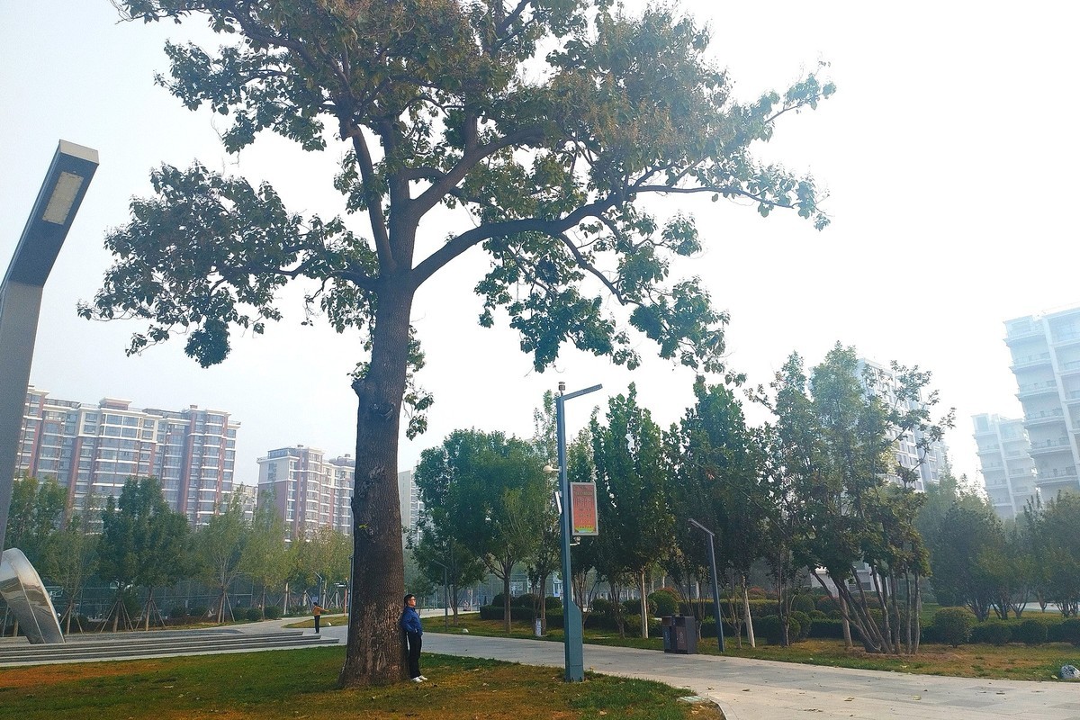 秋日·拾光智慧体育公园