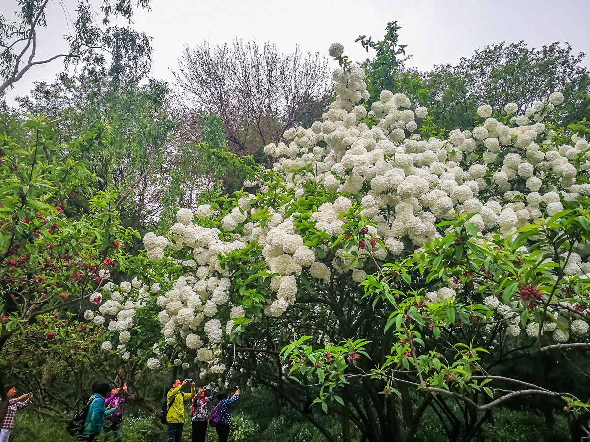 扬州瘦西湖掠影