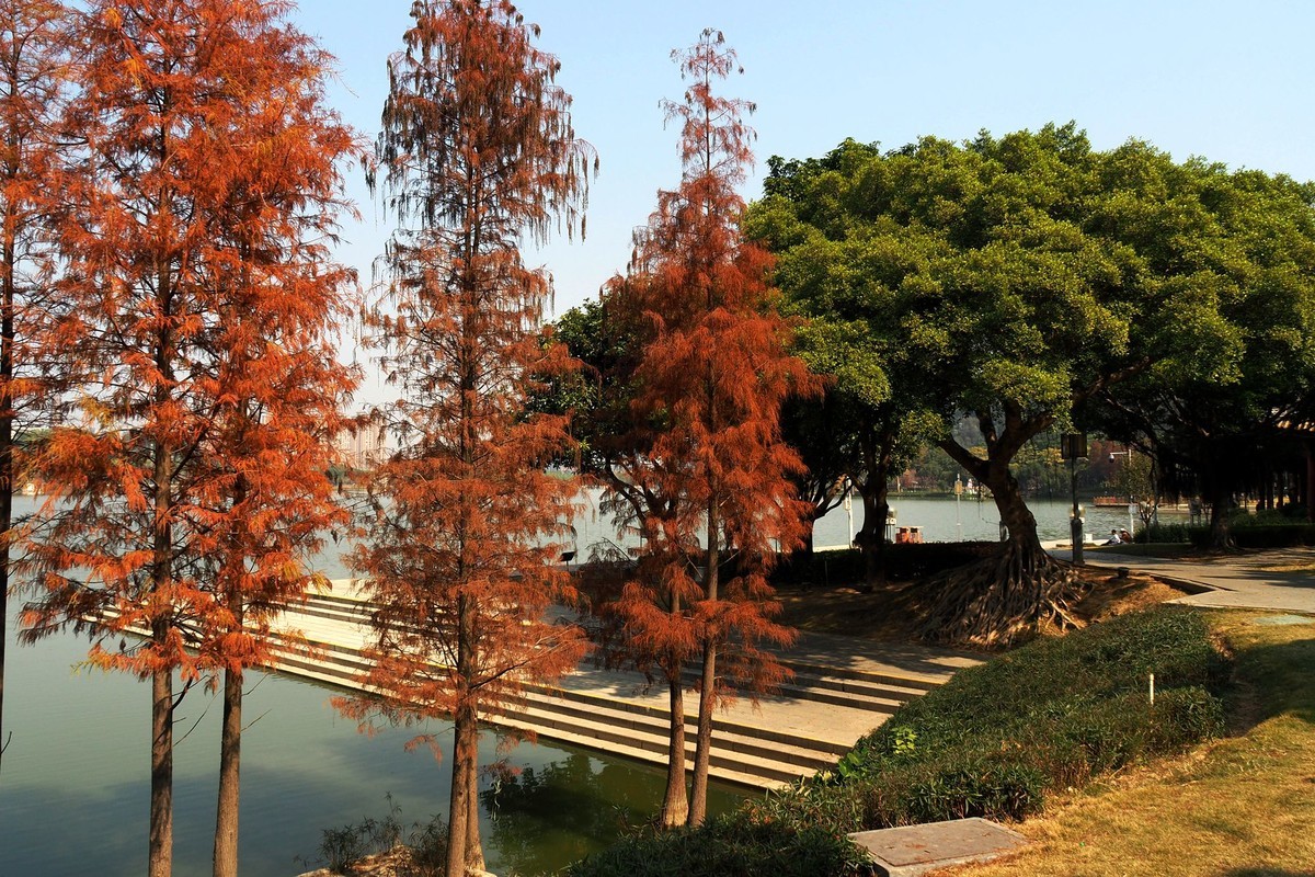 顺峰山公园（完）