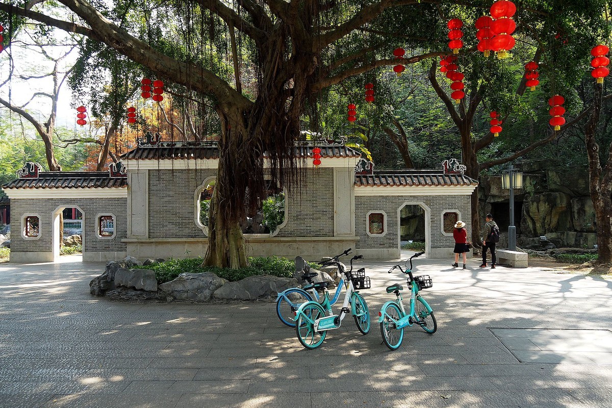 顺峰山公园（完）