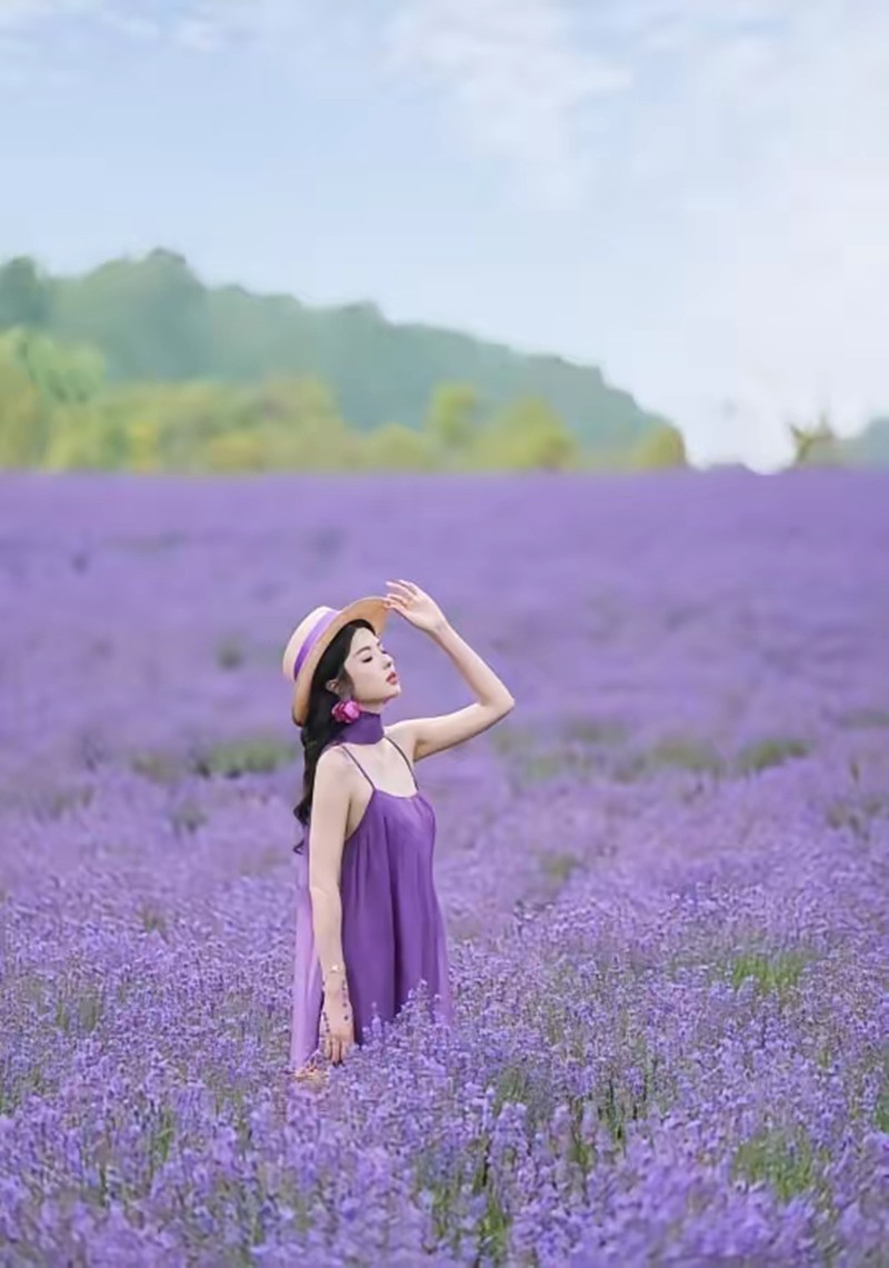 熏衣草中人像--长沙月亮岛2
