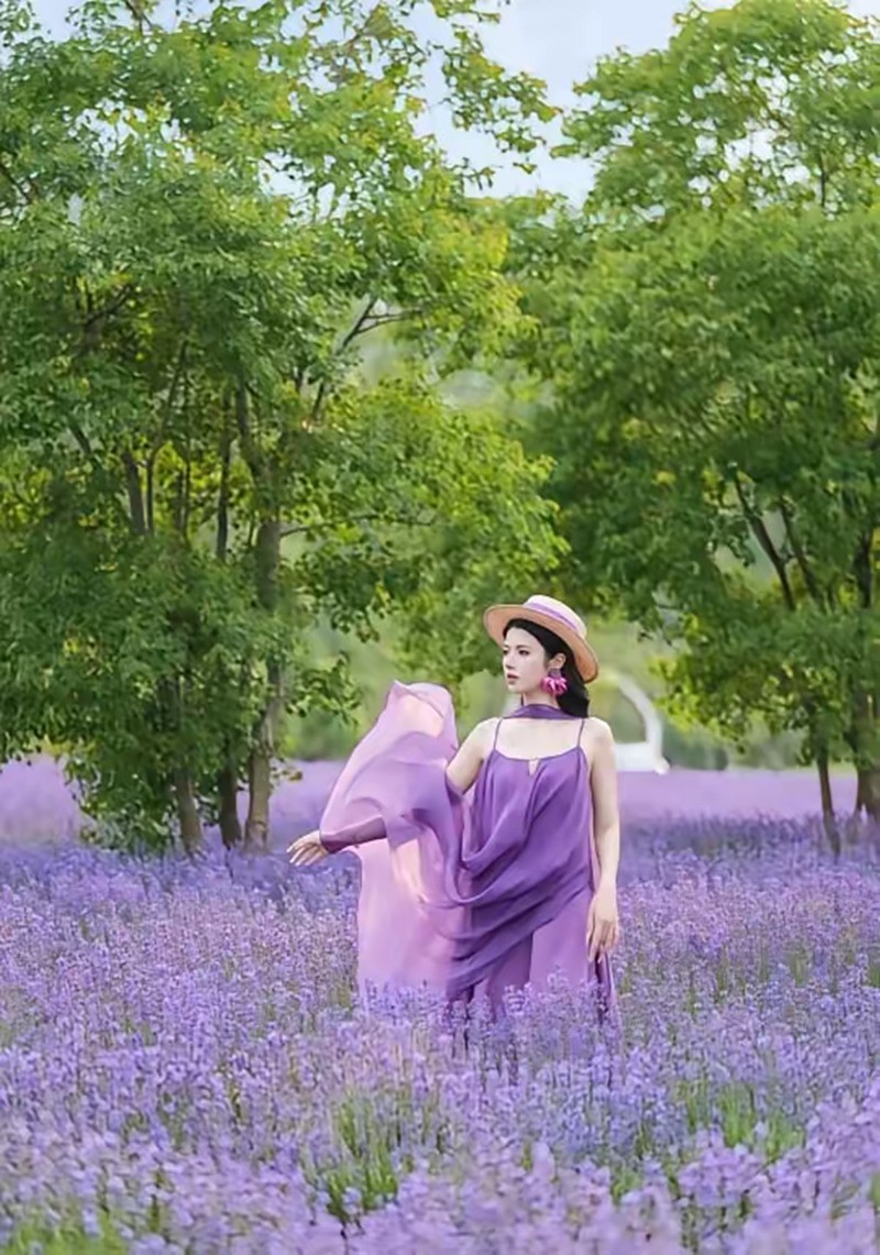 熏衣草中人像--长沙月亮岛2