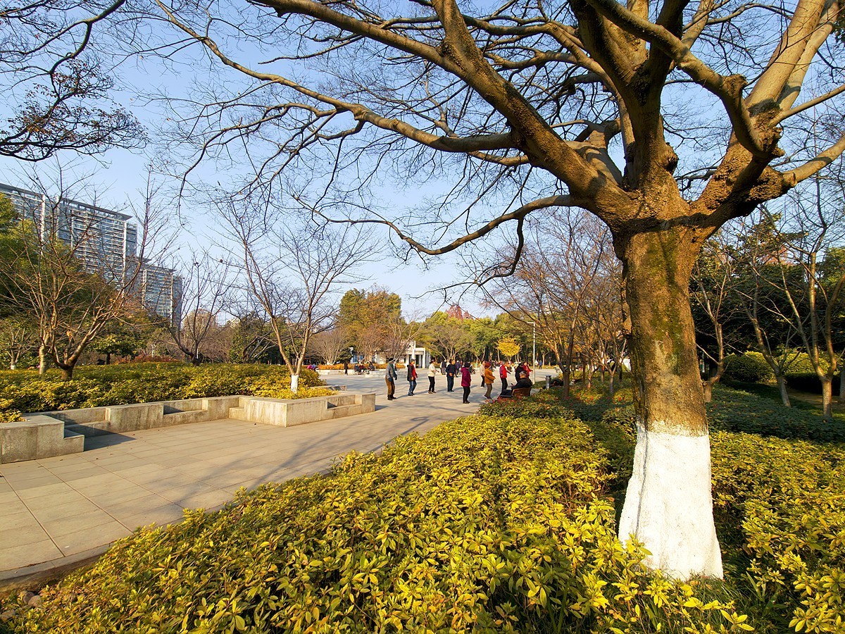 武汉和平公园10