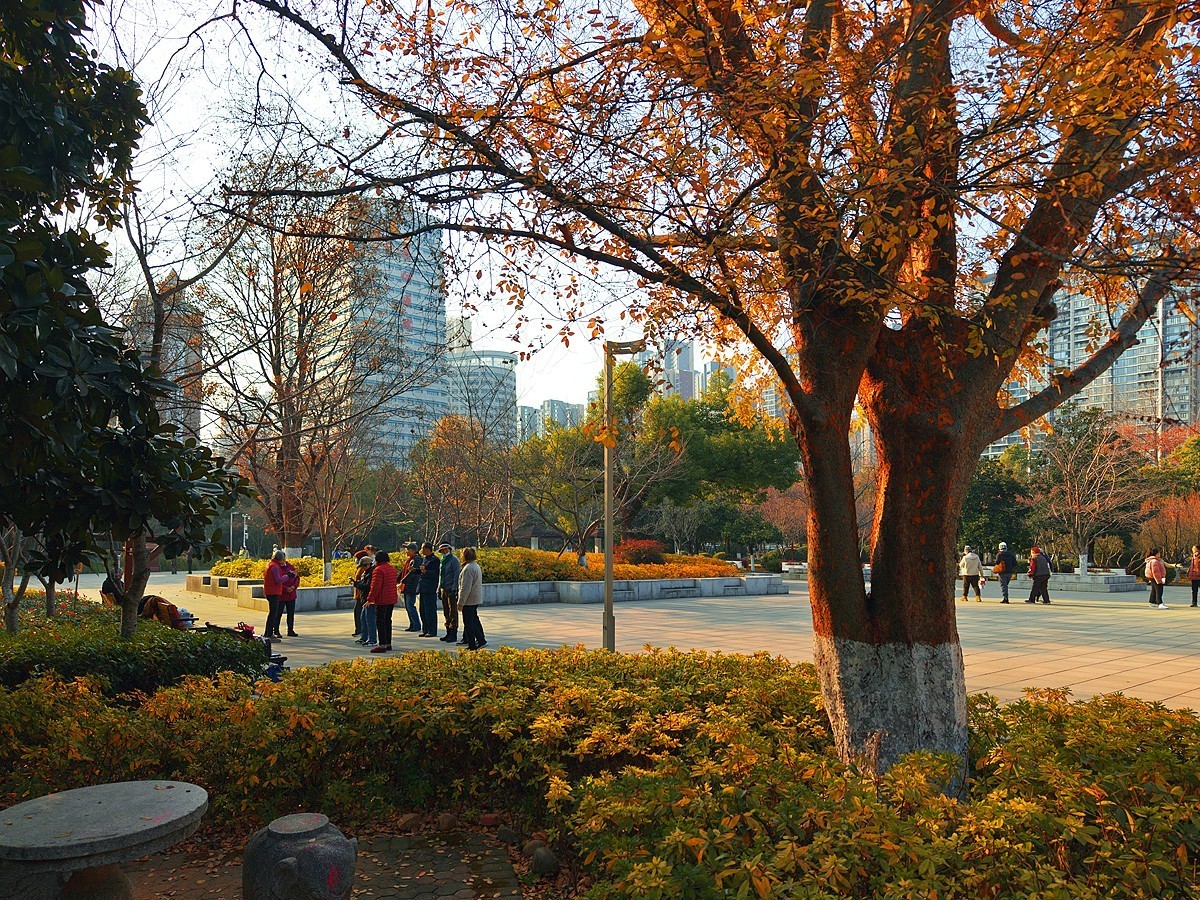 武汉和平公园10