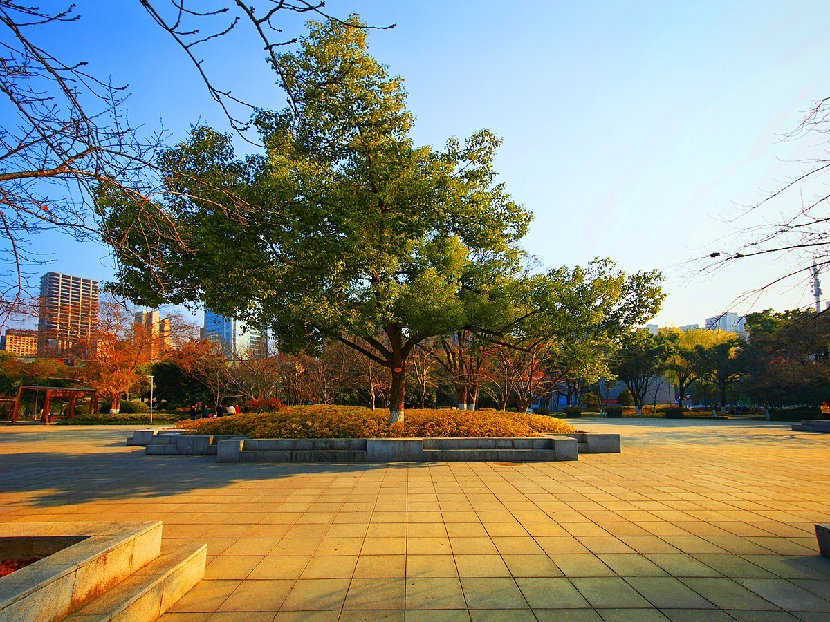 武汉和平公园10