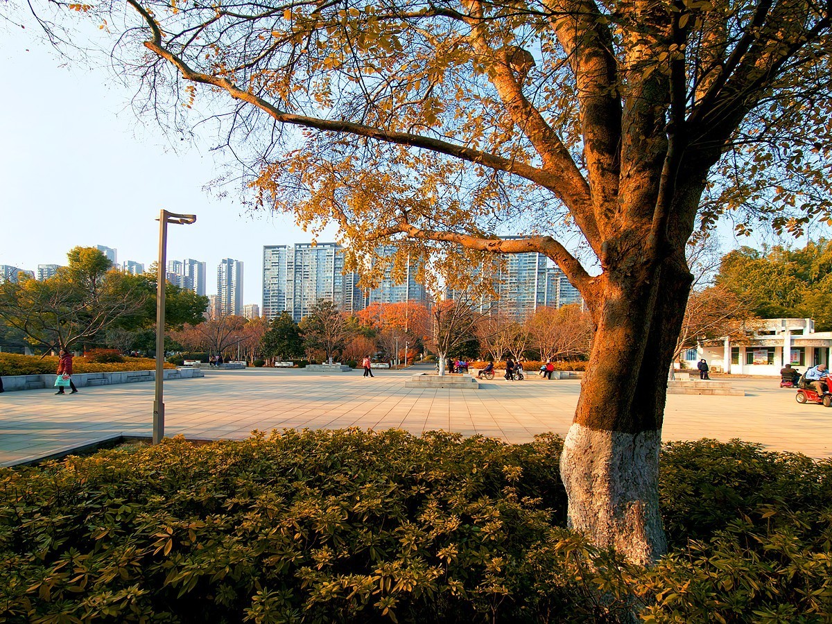 武汉和平公园10