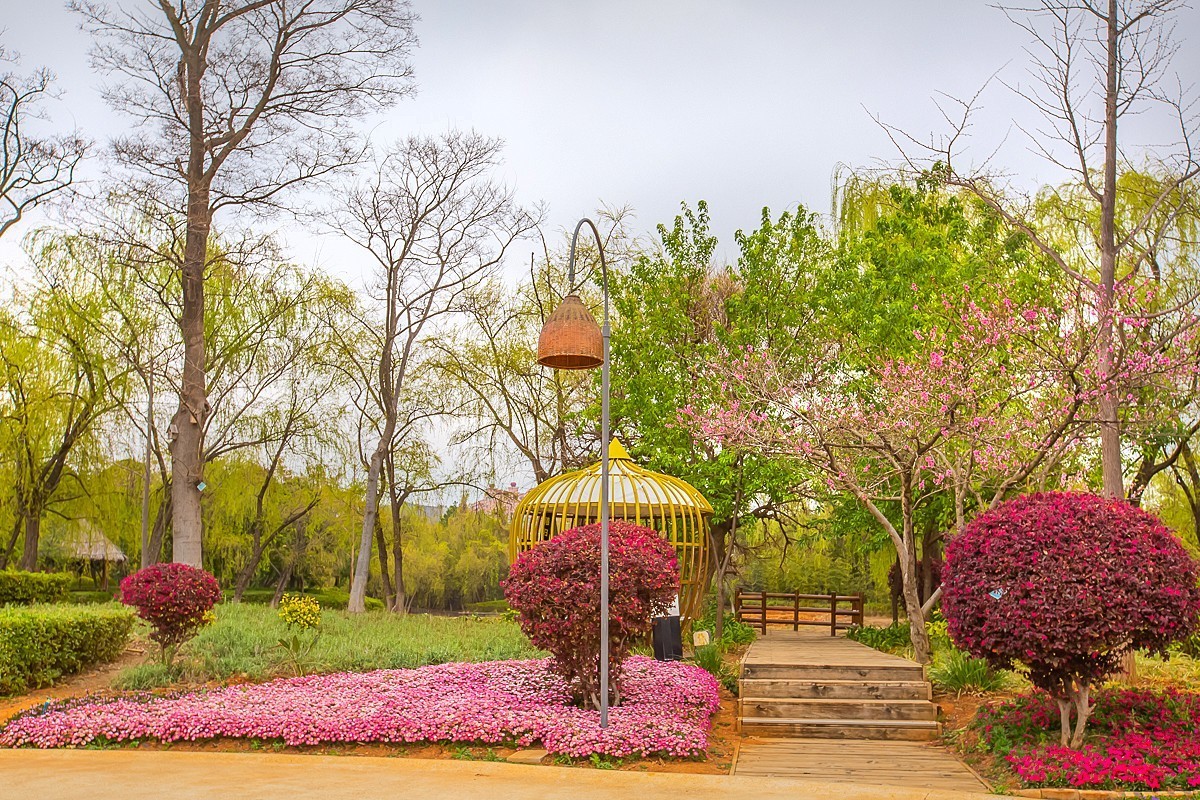 2025-05-26云南玉溪抚仙湖月亮湾湿地公园（一）
