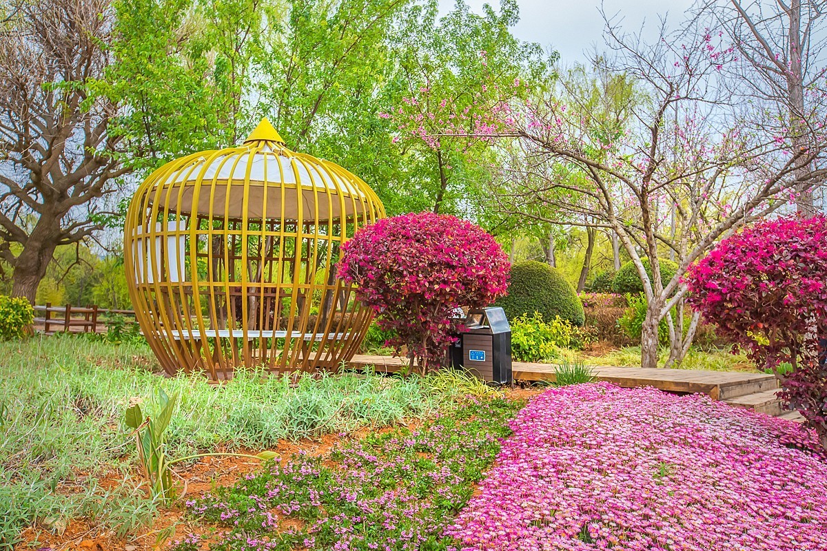 2025-05-26云南玉溪抚仙湖月亮湾湿地公园（一）