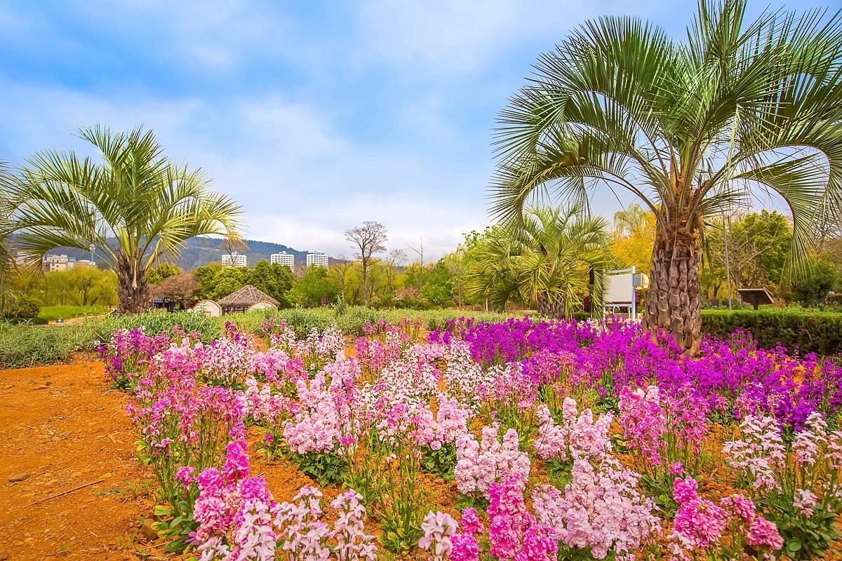 2025-05-26云南玉溪抚仙湖月亮湾湿地公园（一）