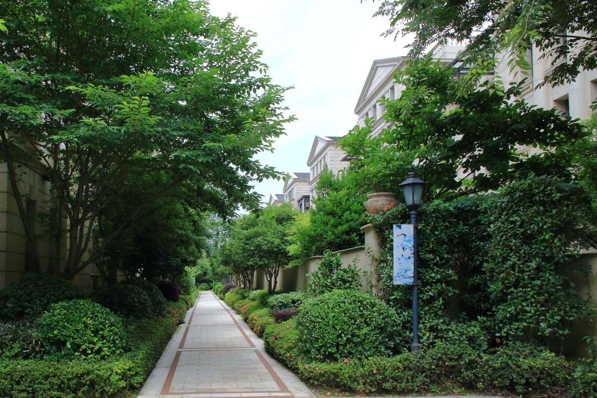 8年前的机器不拍视屏一点也没落伍～