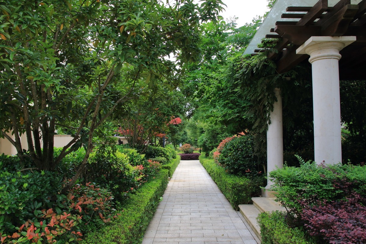 8年前的机器不拍视屏一点也没落伍～