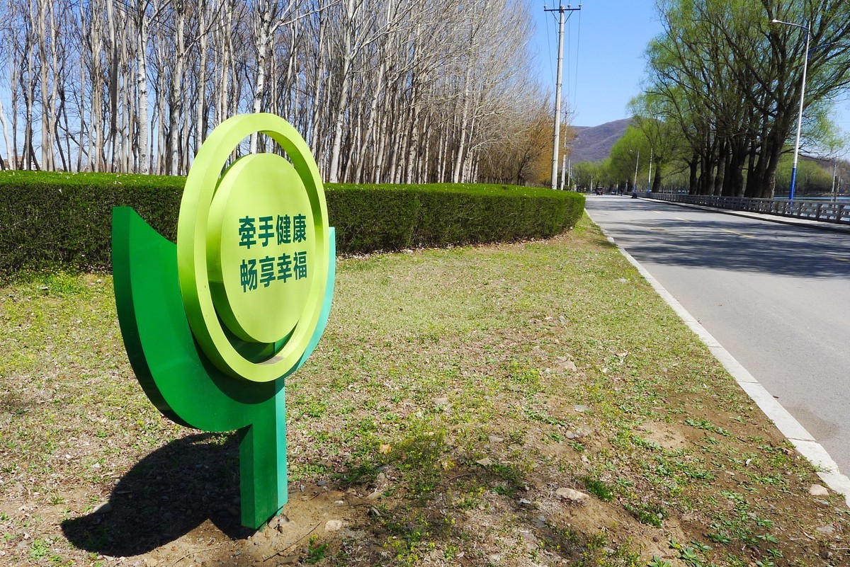 边走边拍（六）