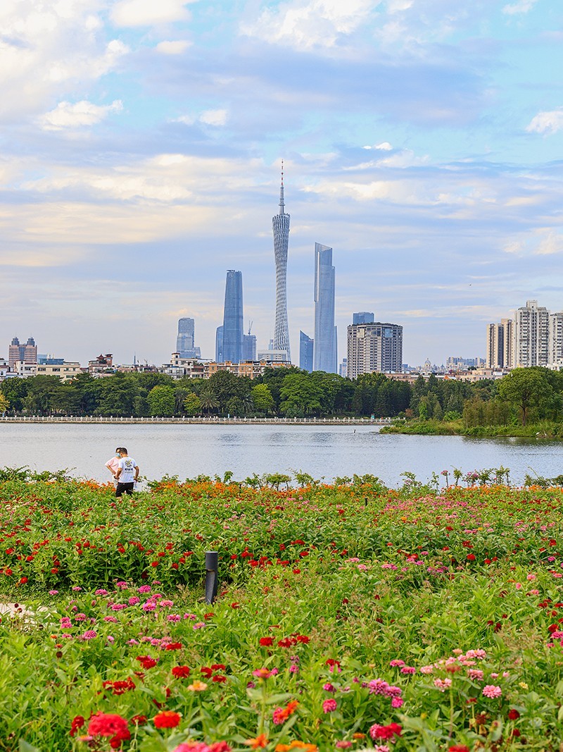 广州海珠湖风景图片