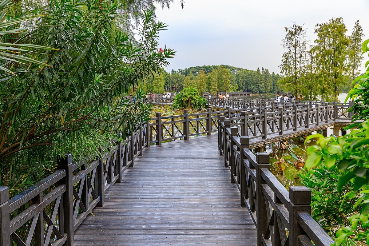 广州海珠湖风景图片