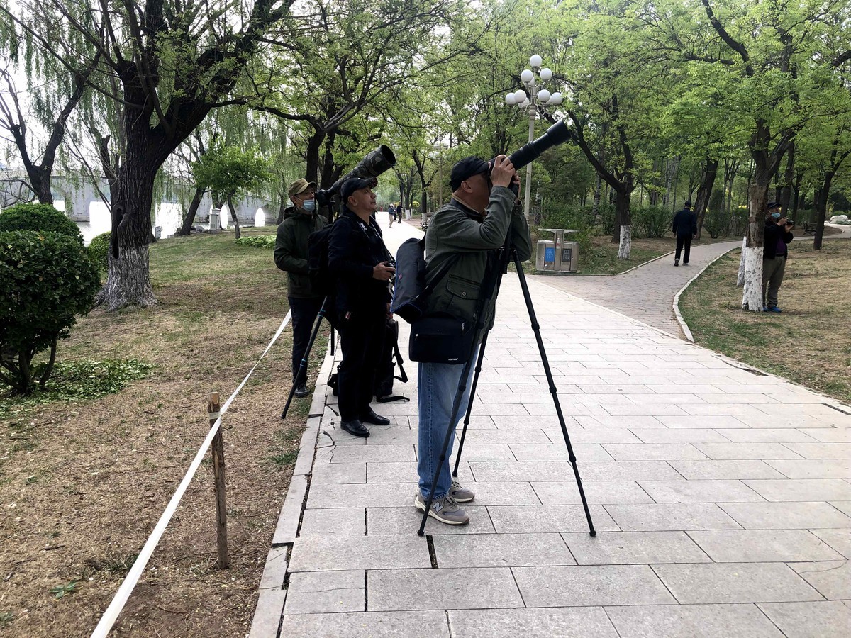 喜迎2024年回顾2023年