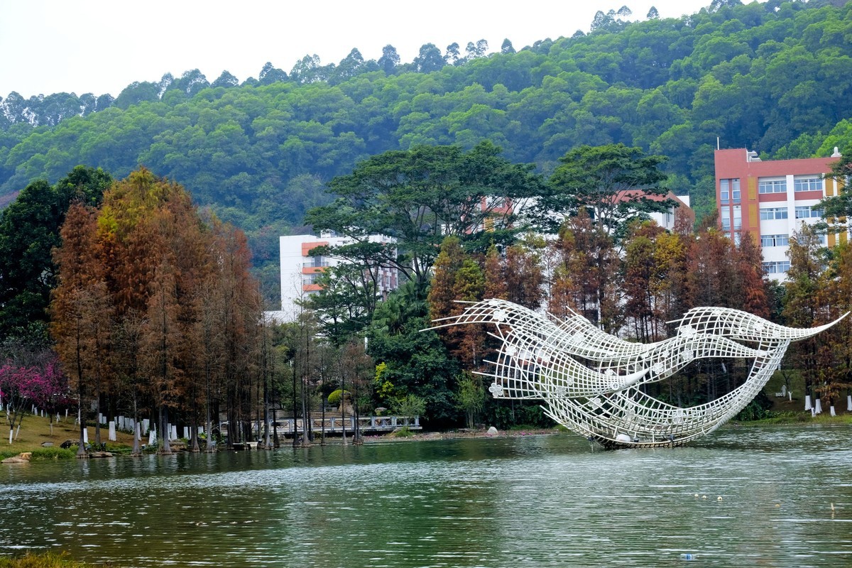 罗岗公园随拍（二）